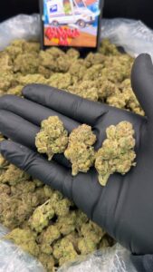 Roseberry strain