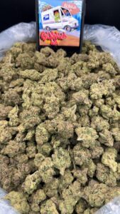 Roseberry strain