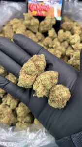 Grape Gas Strain