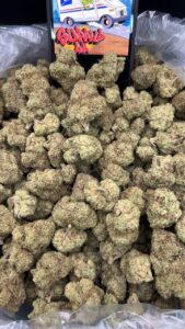 Grape Gas Strain