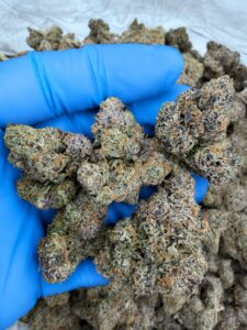 Kool Aid Punch strain