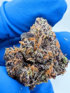 Kool Aid Punch strain