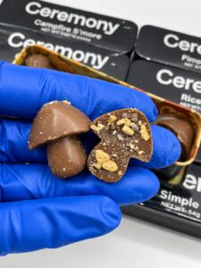 Ceremony mushroom chocolates 5g Bar