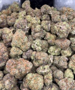 Lemon Cherry Gelato