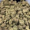 Roseberry strain