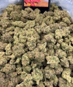 Roseberry strain