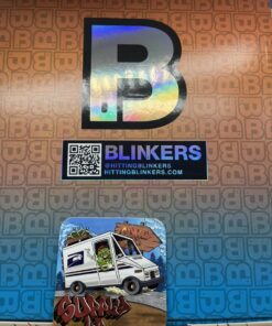 blinkers flip 2g