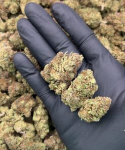 Blue Gushers strain