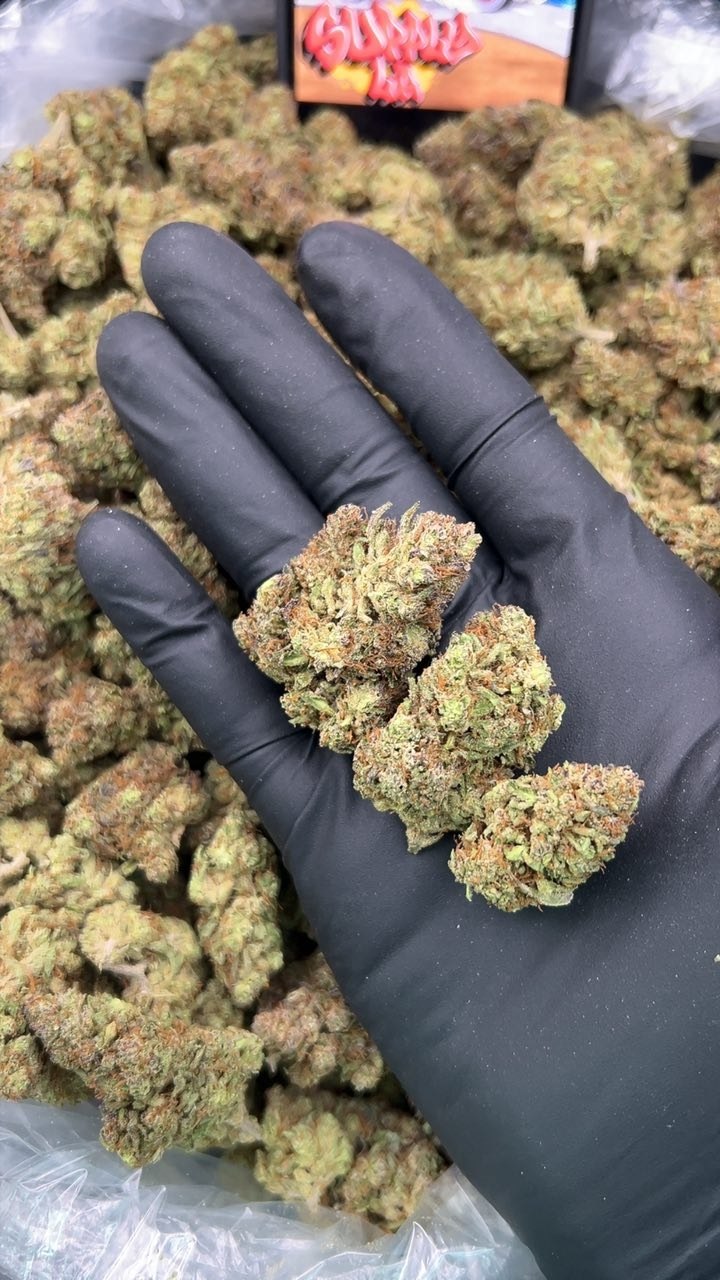 Blue Gushers strain