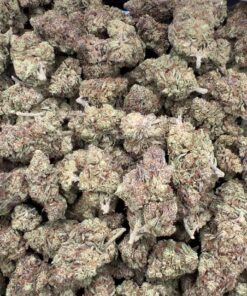Blue Gushers strain