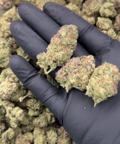 Dessert Weed Strain