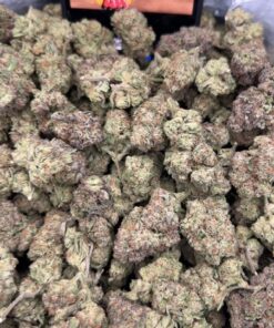 Dessert Weed Strain