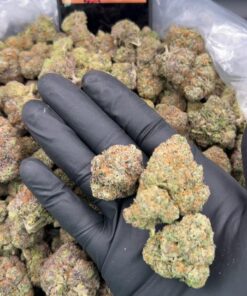 Lemon Cherry Gelato
