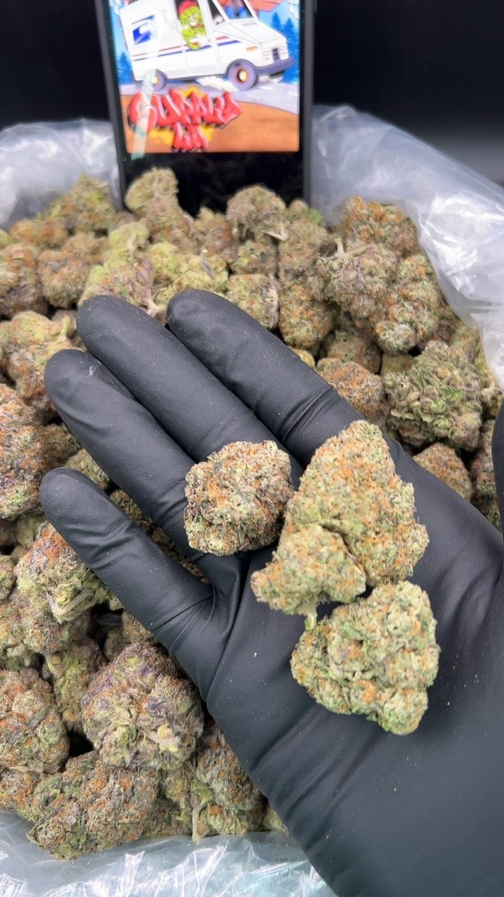 Lemon Cherry Gelato