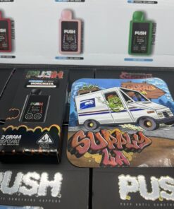 push 2g disposable with screen