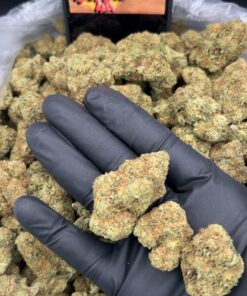 Sweet retreat weed strain
