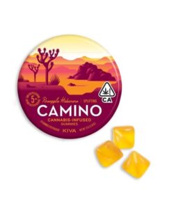 camino excite wild cherry gummies