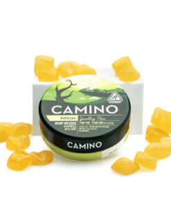 Camino Gummies