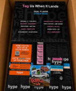 Hype 2G Disposable