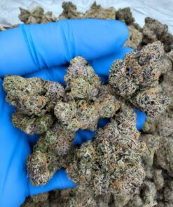 Kool Aid Punch strain