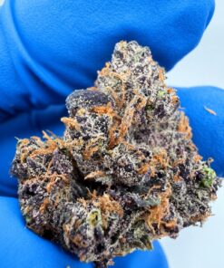 Kool Aid Punch strain