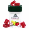 Wana Gummies