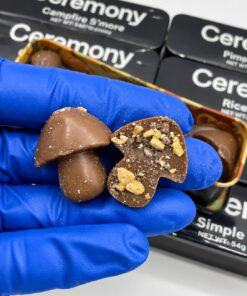 Ceremony mushroom chocolates 5g Bar